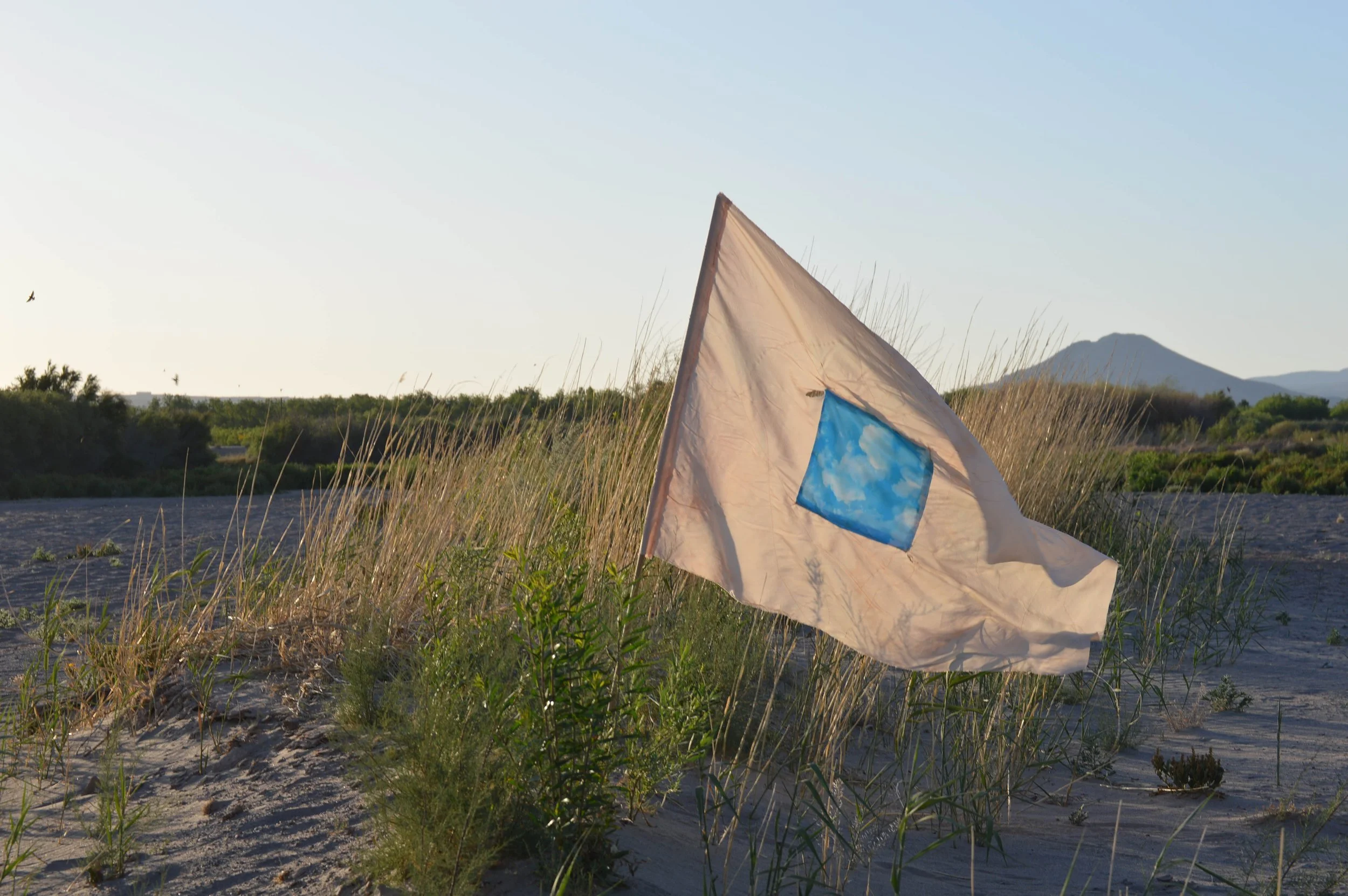 Flags